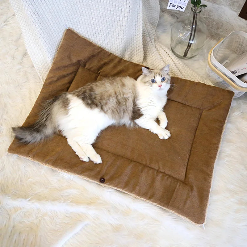 Cat lying on a brown warm blanket on a fluffy white surface
