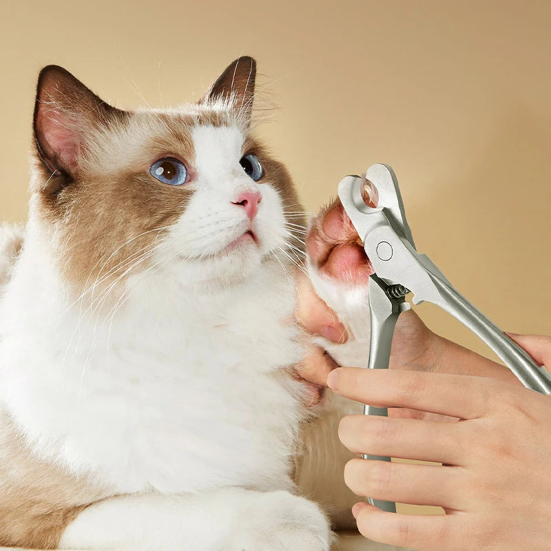 Stainless steel professional cat claw clipper trimming claws of a white cat; a grooming tool designed specifically for cats.