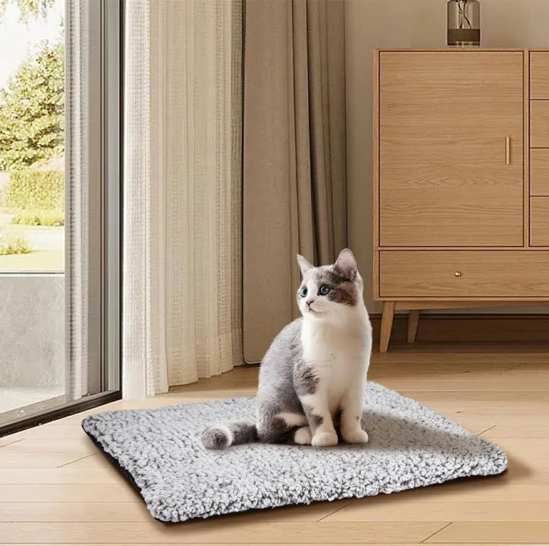 Grey self-warming cat bed with textured surface, shown with a grey and white kitten sitting comfortably on it in a bright living room.