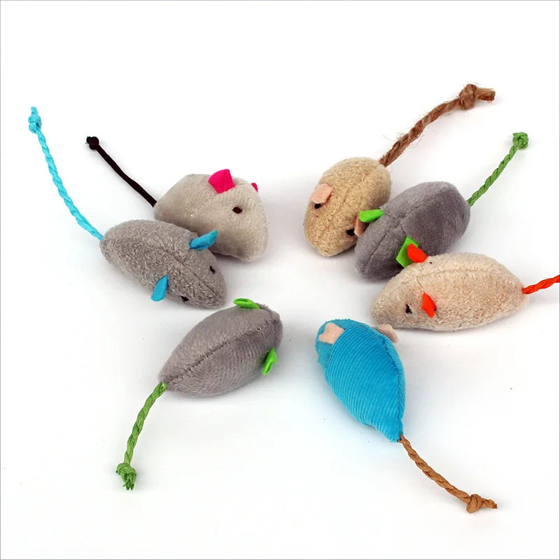 Set of colourful catnip soft mice toys on a white background