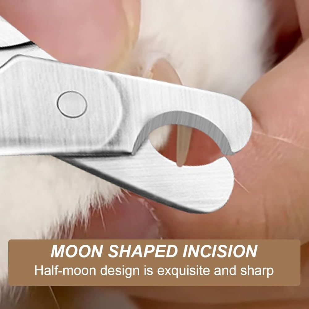 Close-up of a stainless steel cat nail trimmer showing its design and sharpness for precise cat&