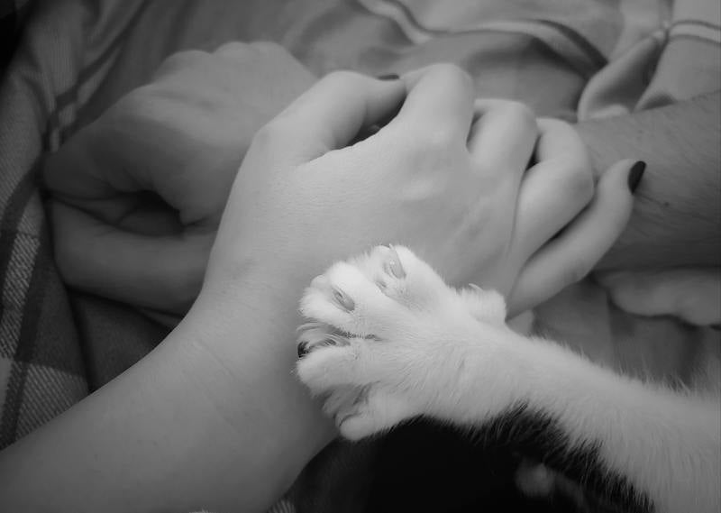 Black and white photo of a cat paw resting on human hand, showing human-cat bonding moment