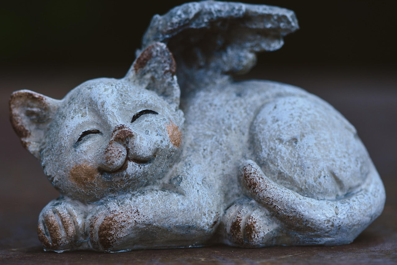 How Rituals Help Heal After Pet Loss: A Guide to Comfort and Remembrance