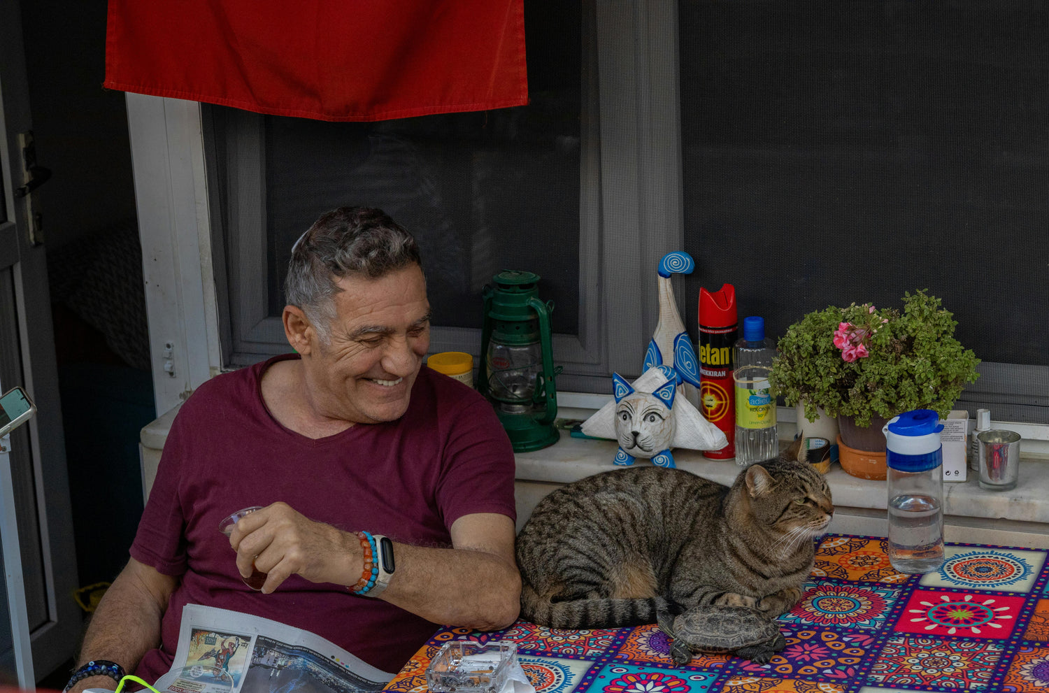 A tabby cat sitting on a table covered with a colourful cloth mimicking his owner's posture.