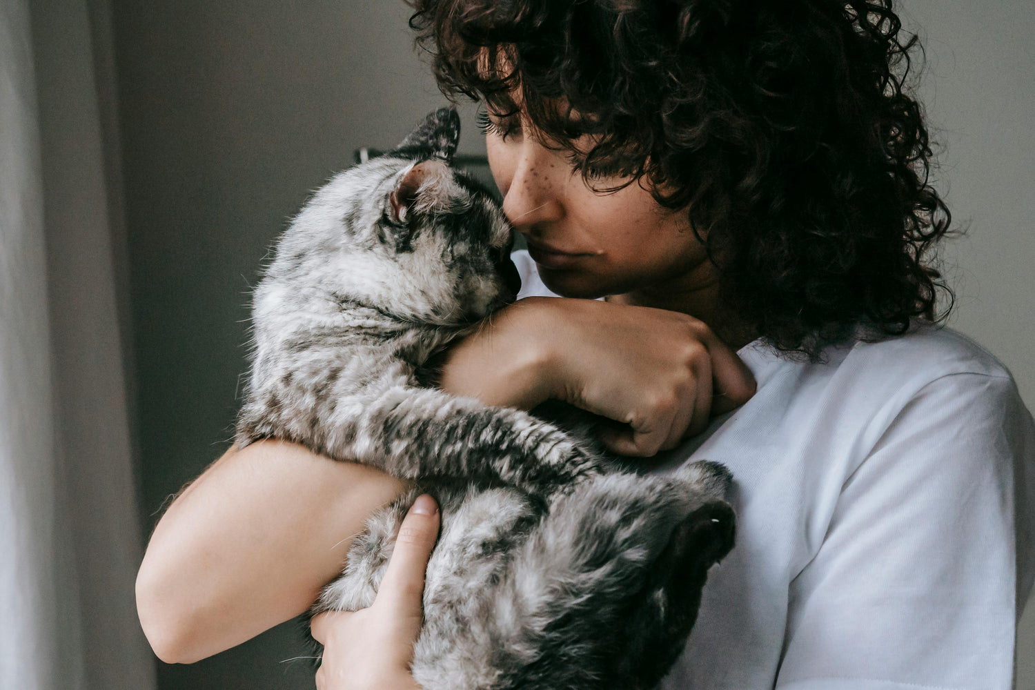 A tabby cat is held by a woman with dark hair and freckles.