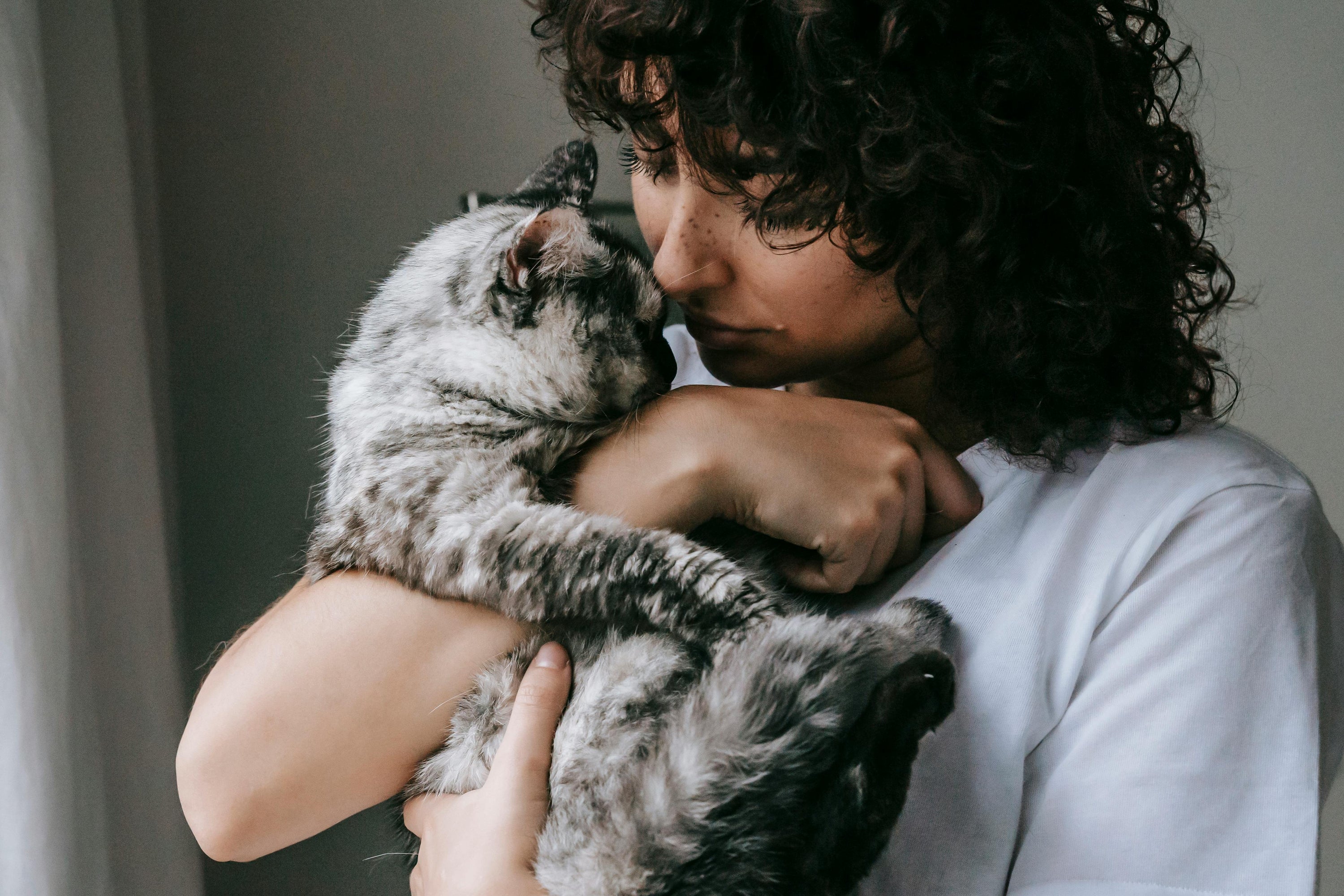 A tabby cat is held by a woman with dark hair and freckles.