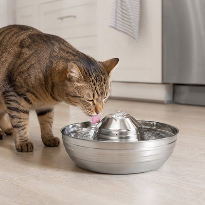 2L Stainless Steel Low Noise Cat Water Fountain