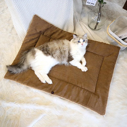 Cat lying on a brown warm blanket on a fluffy white surface