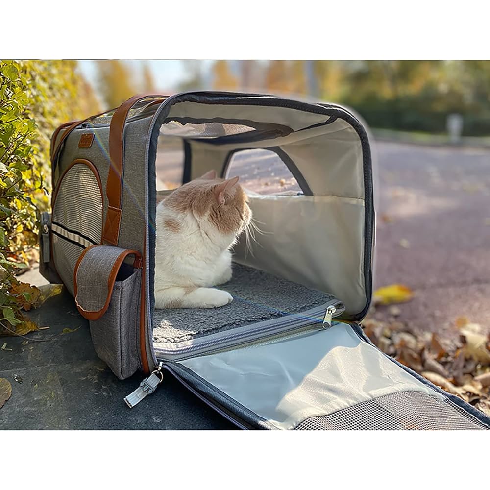 Soft pet carrier with mesh windows with open entrance and a white cat sitting inside on a sunny day.