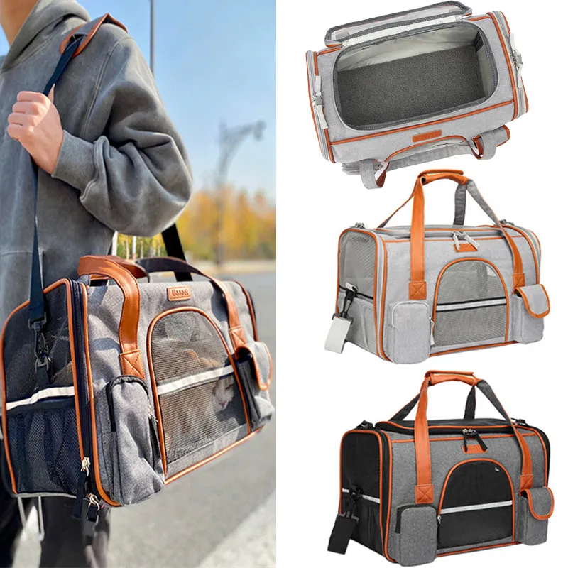 Foldable pet carrier with mesh windows shown in use with orange and white cat sitting comfortably inside, demonstrating spacious interior on an outdoor pathway.